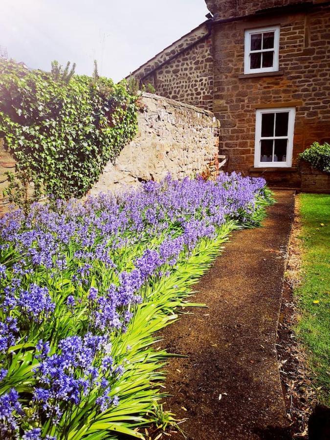 Grange Farm Lodge Ripon Bagian luar foto